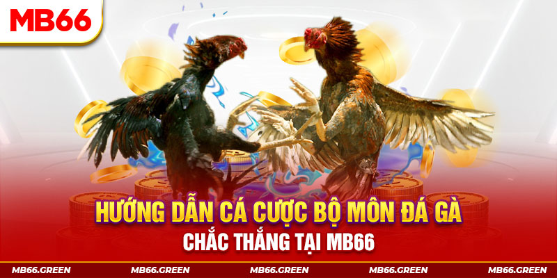 vtvgo CQ9 Điện Tử