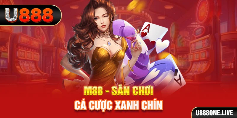 vtvgo gà chọi cậu thanh