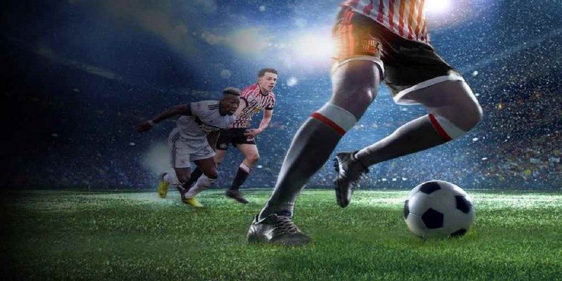 vtvgo đá gà trực tiếp hôm nay