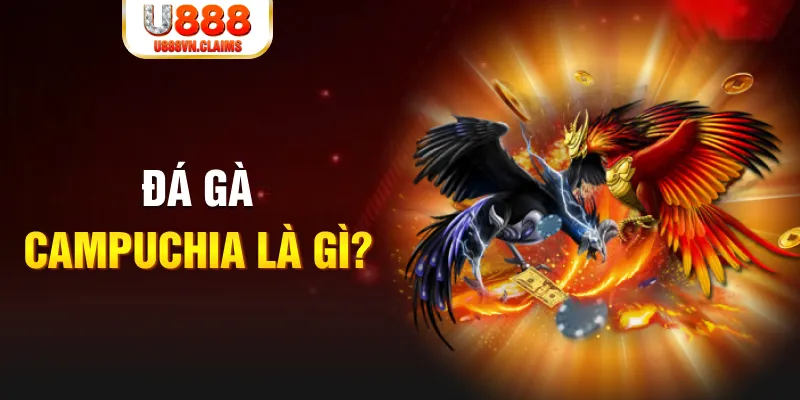 vtvgo xổ số miền nam thứ sáu