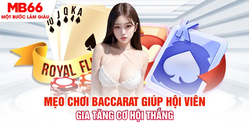 vtvgo đá gà 88