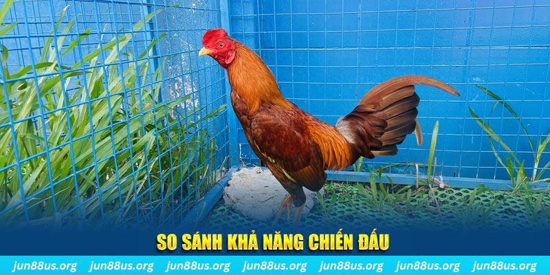vtvgo xổ số tiền giang