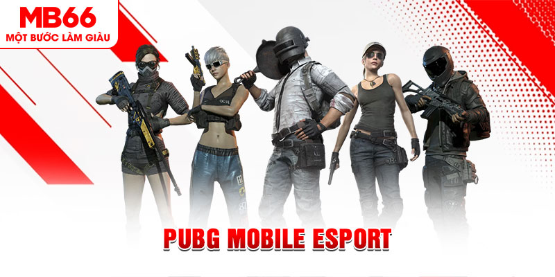 vtvgo xổ số minh ngọc – miền nam