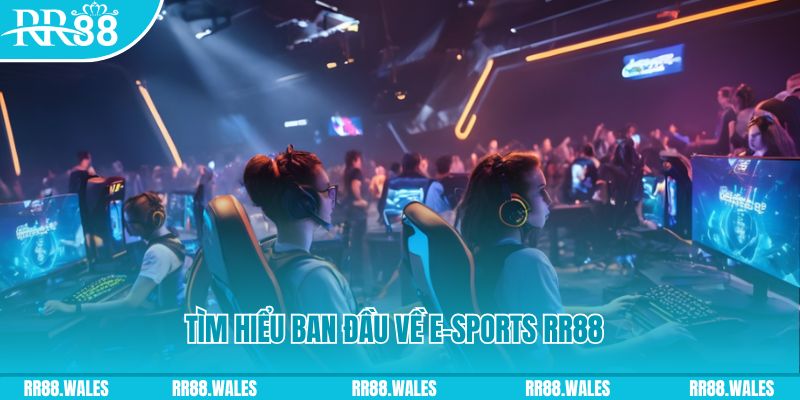 vtvgo 8 bit khi nào nổ hũ