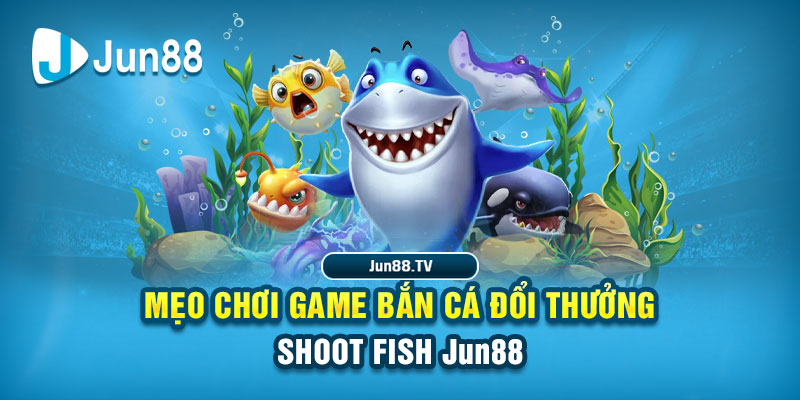 vtvgo tai game danh bai bigkool ve may tinh