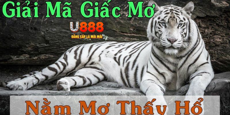 vtvgo xổ số kiến thiết miền bắc