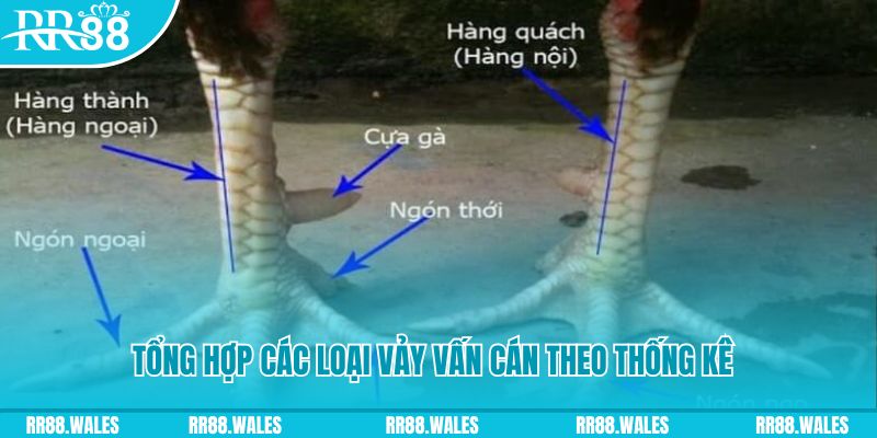 vtvgo nổ hũ chơi như thế nào