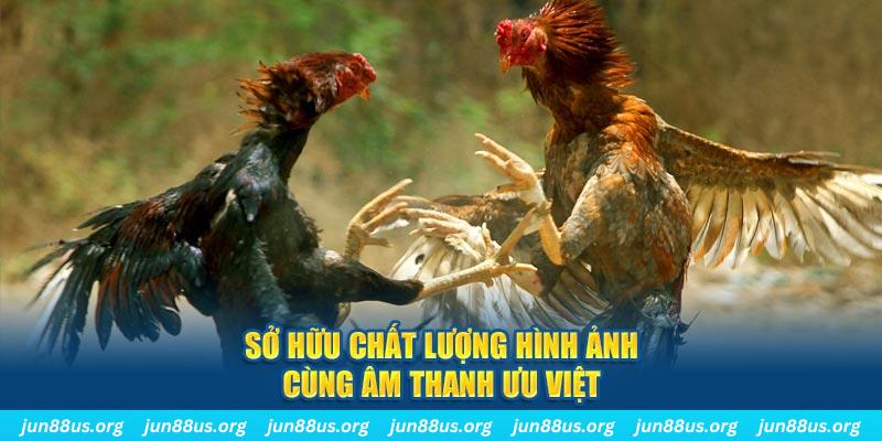 vtvgo tai game danh bai ve may tinh