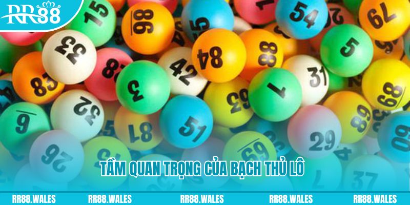 vtvgo đá gà trực tiếp casino