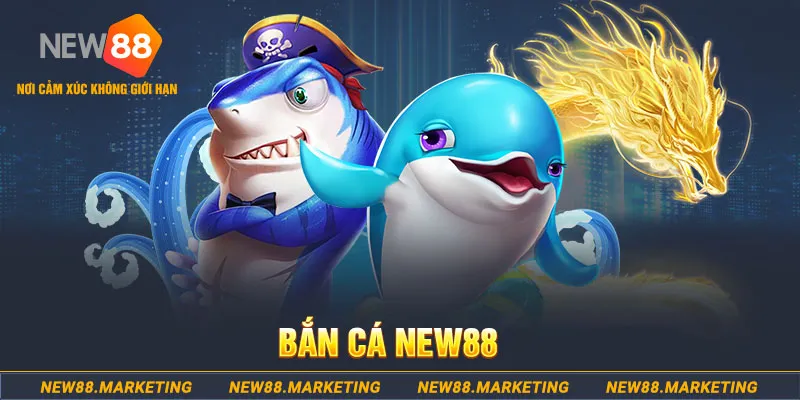 vtvgo trong baccarat, ai là người chia bài chính？