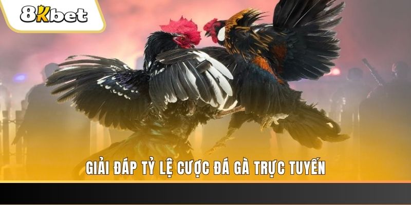 vtvgo xổ số ba đài