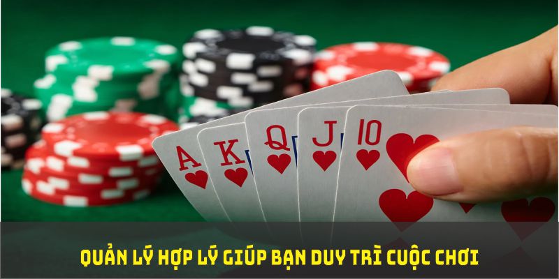 vtvgo TP Xổ Số
