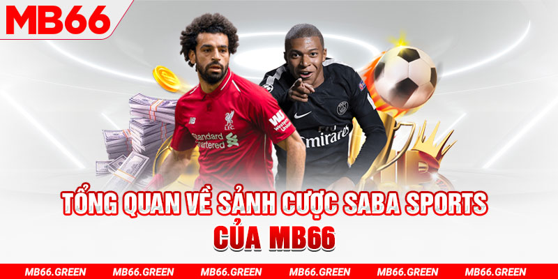 vtvgo slot có nghĩa là gì