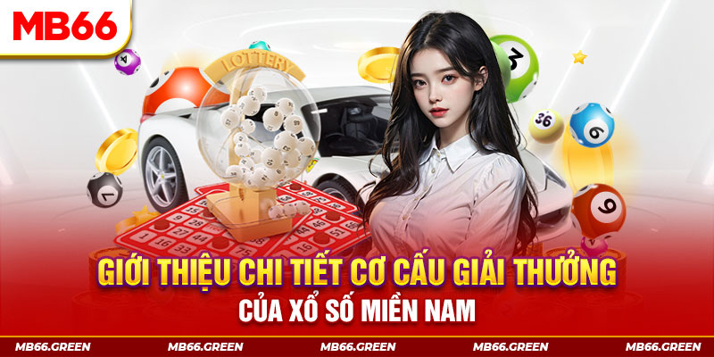 vtvgo PP Điện Tử