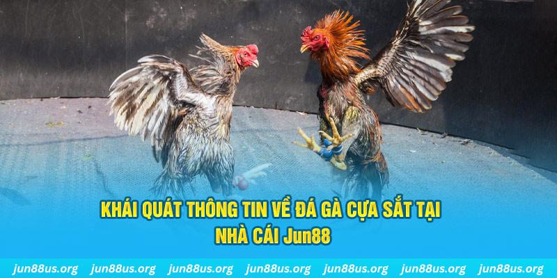 vtvgo game bài trên máy tính