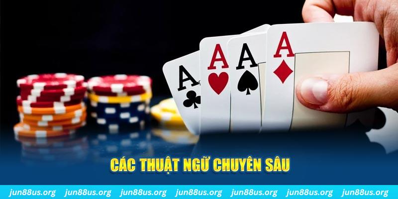 vtvgo PT Điện Tử