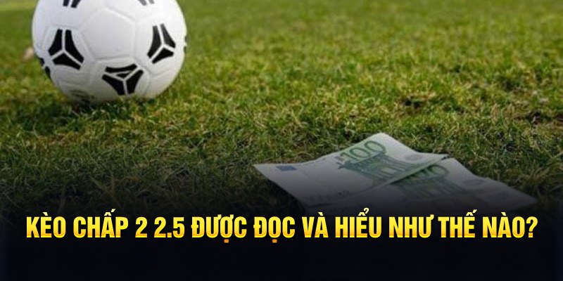 vtvgo đá gà thomo
