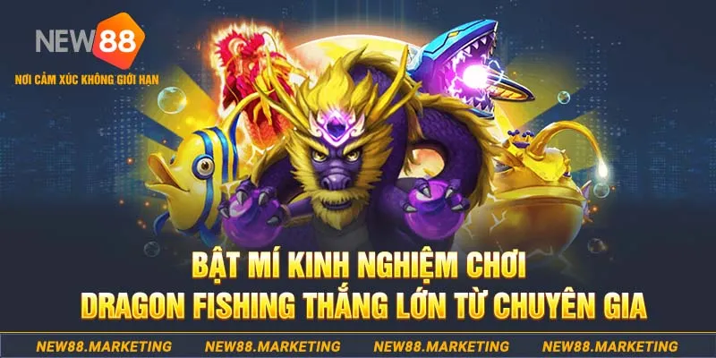 vtvgo who wants to be a millionaire slot