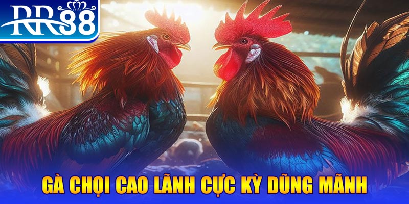 vtvgo natural” trong baccarat nghĩa là gì？